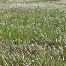 초가민박 이미지