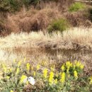 토지농원민박 이미지