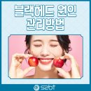 주식회사 더에스투 네이버블로그
