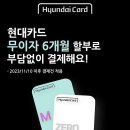 자마이카 휘트니스 이미지
