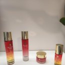 스와니브 이미지