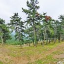 고려촌문화체험길 이미지