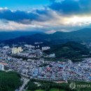 (주)태백목재