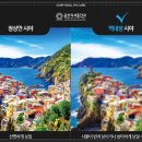 강남연세안과의원 네이버블로그
