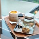 더/어반그레이로스터리 | 춘천 리버뷰 카페 추천 애견동반 가능한 어반그린 내돈내산 후기