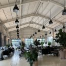 파티오6747 | 김해 부원역 아이스퀘어 근처 대형카페 파티오6747