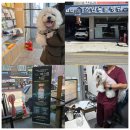 조원 동물병원 이미지