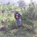 진해농장 이미지