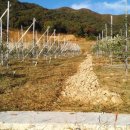 물골농장 이미지