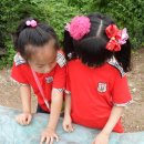 좌삼초등학교 이미지