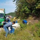 약산면-2 이미지