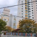 365열린온누리약국 이미지