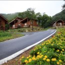 화천목재문화체험장 이미지