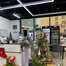 화이트애플 이미지