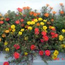 다곡보건진료소 이미지