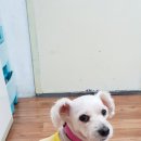 순자농장 이미지