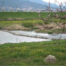 강가의 추억 이미지