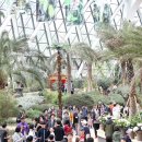 서울식물원 이미지