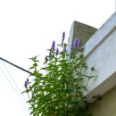 가죽고랑길 이미지