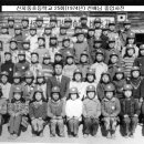 신지동초등학교 이미지