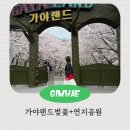 연지공원(타고가야) | 4월 김해 가볼만한 곳 벚꽃 명소 가야랜드 연지공원 근처카페 해이담커피