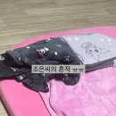 조은이네 | 2026년 한 달 무료체험 후기