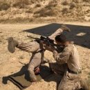 유니온 펫 이미지