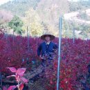 시월에농장 이미지