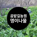 곰밭길 네이버블로그