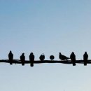 참새민박 이미지