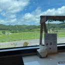 ㈜행복마을만들기 | [치즈온] 임실치즈마을 피자만들기 체험 리얼 후기! (가족여행 강추 코스)
