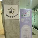 디스텔라