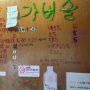 쌍둥이네 애견 이미지