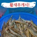 해물수산 네이버블로그