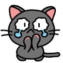 강남크리닝 이미지