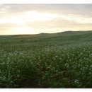 소슬농장 이미지