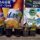 25시슈퍼 이미지