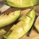 농업회사법인주식회사 철원종돈 | 6시내고향 철원 멜론 구매방법 어쩌다 농부 7월 15일 방송