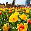 꽃의계절 이미지