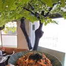 도투리 샤브칼국수 불광천 | 서울3대샤브샤브 도투리 샤브칼국수 불광천 후기: 벌써 또 가고 싶은 이 맛집