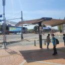 그늘막9 이미지