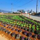 북경주행정복지센터 이미지