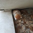 말랑말랑 이미지