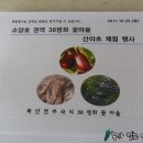 38평화꽃마을