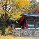 CU영암덕진로드점 | 전남 영암ㅡ바위가 꽃이고 숲이더라...영암 월출산과 주변