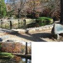 순천-46호 이미지