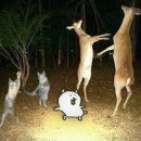 루루헤어 - 김해시 가야로 17 | 루루헤어