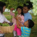 향기포도농원 이미지