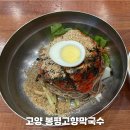 봉평고향막국수 | 고양 원당 맛집 추천 봉평고향막국수 내돈내산 후기