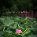 각화제(각화저수지) 이미지